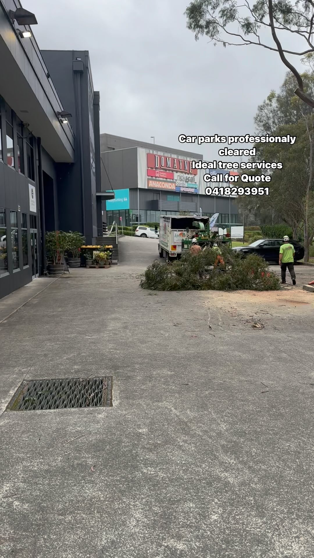 Ideal tree services 0418293951