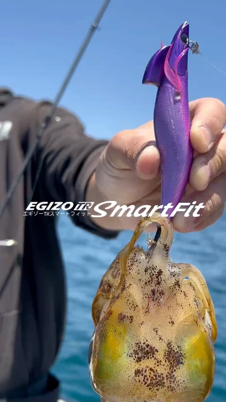 実績充分ティップラン専用エギ #餌木蔵trスマートフィット 釣れる