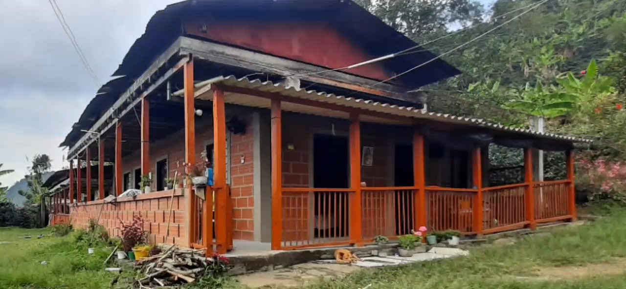 SE VENDE FINCA CAFETERA EN PÁCORA, DEPARTAMENTO DE CALDAS A 30 minutos ...
