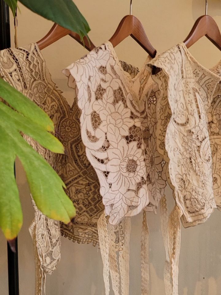 alocasia vintage | Ginowan-shi Okinawa