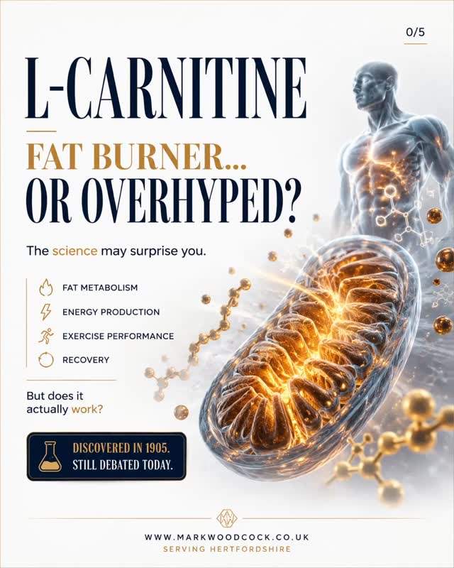 Now available in the new & refreshing Summer Cooler flavor, L-Carnitine with Fucoxanthin is designed to help you reach your fat loss goals & look your best this summer! L-Carnitine w/ Fu