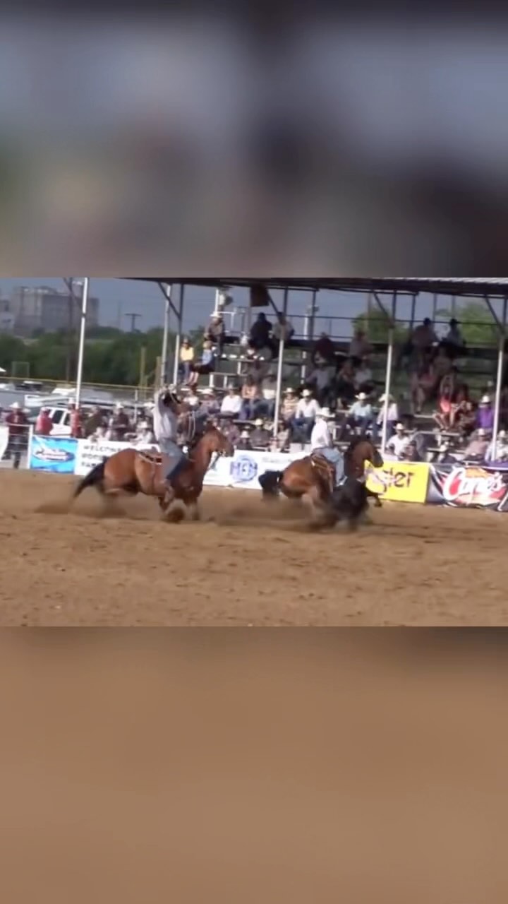 For your viewing pleasure: Windy Ryon Memorial Team Roping 2014. Second ...