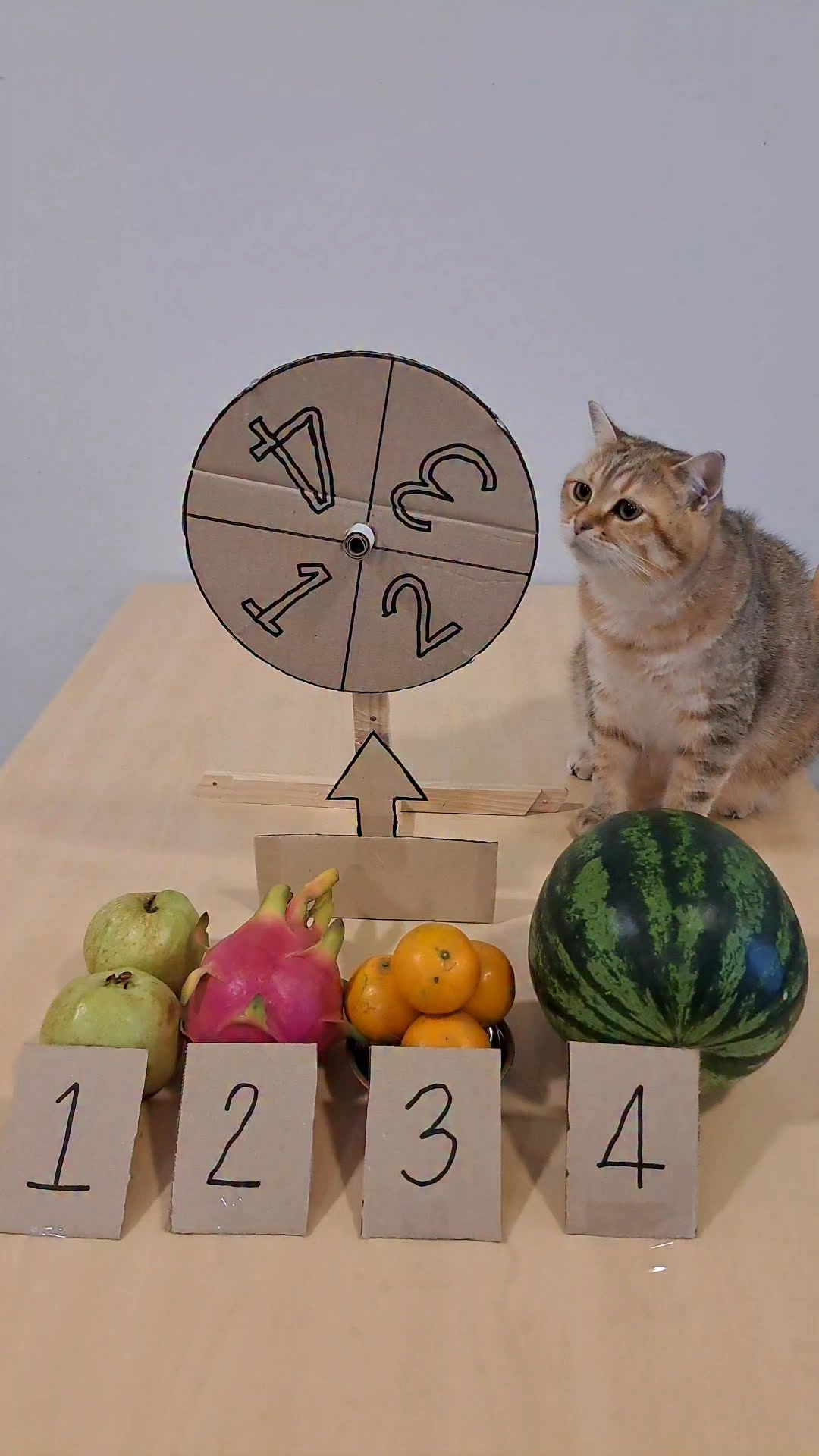 วงล้อผลไม้🍏🍊🍉🐱#toy #fruit #pets | The Pop | Facebook