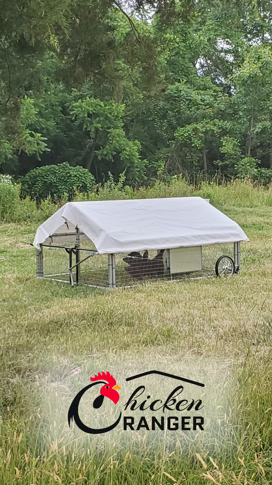 Fresh overview of the Chicken Ranger. | Chicken Ranger | Facebook