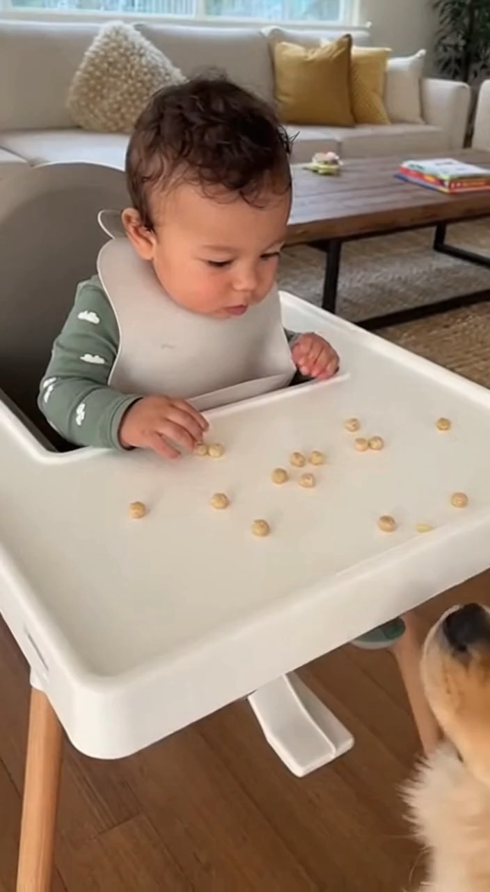 Rainy Day Snack Guard 🌧️👶 Hashtags: #BabyVsDog #FunnyBaby # ...
