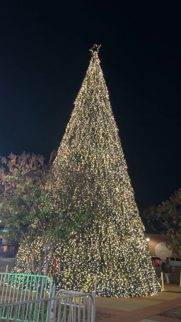 Downtown Conway is twinkling with holiday magic!🌟 Ride the Ferris wheel ...