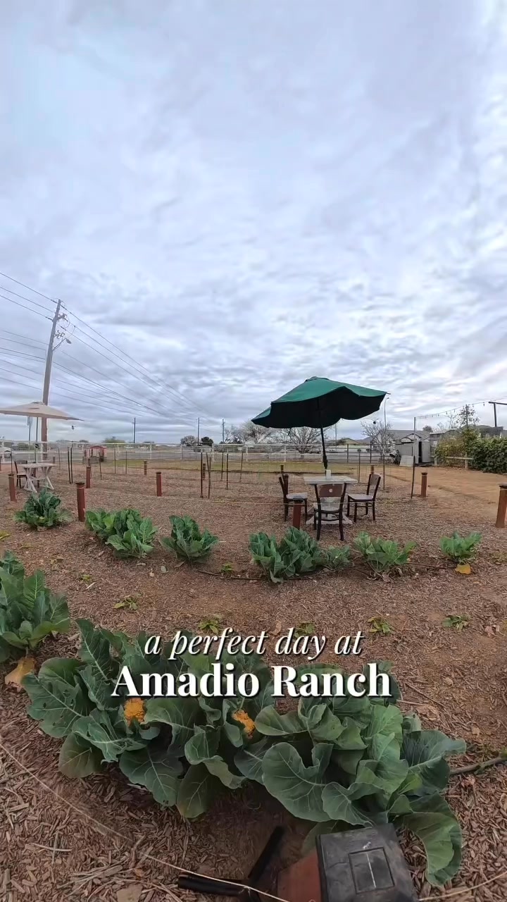 Open 365 days a year! 7am-9pm | Amadio Ranch Heritage Farm | Facebook