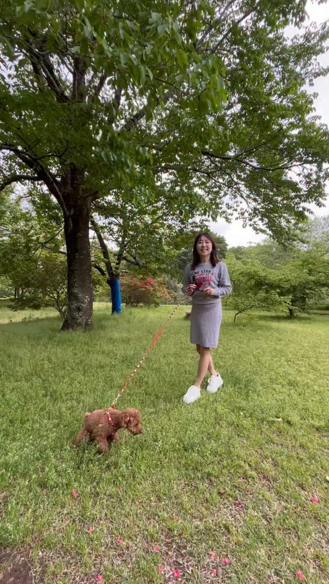 ワンちゃんさん専用 ※丸めて発送 ワンちゃんさん専用 ※丸めて発送