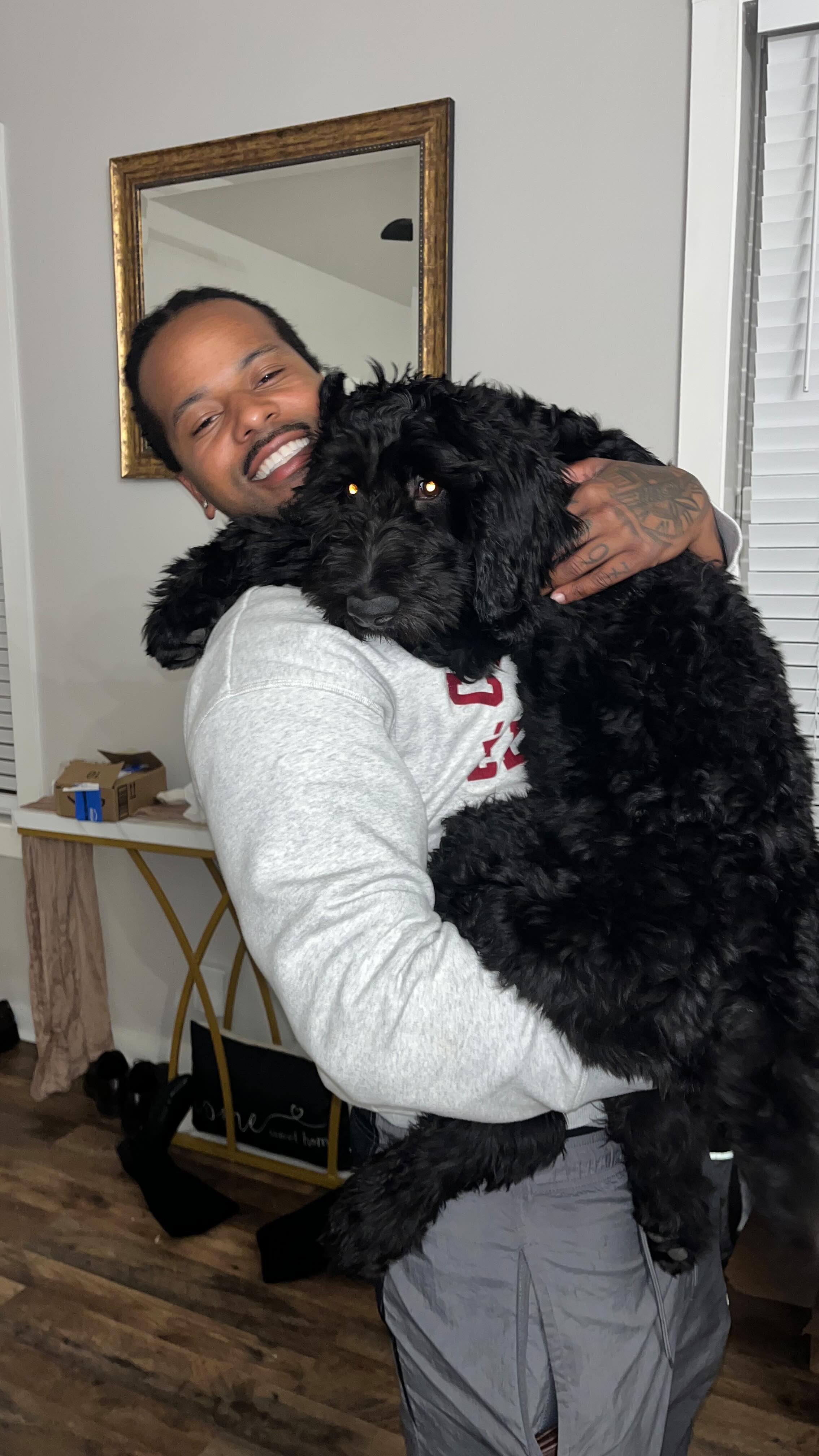 He doesn’t even hide it 😭 #rizzthegoldendoodle #doodledad #worththework ...