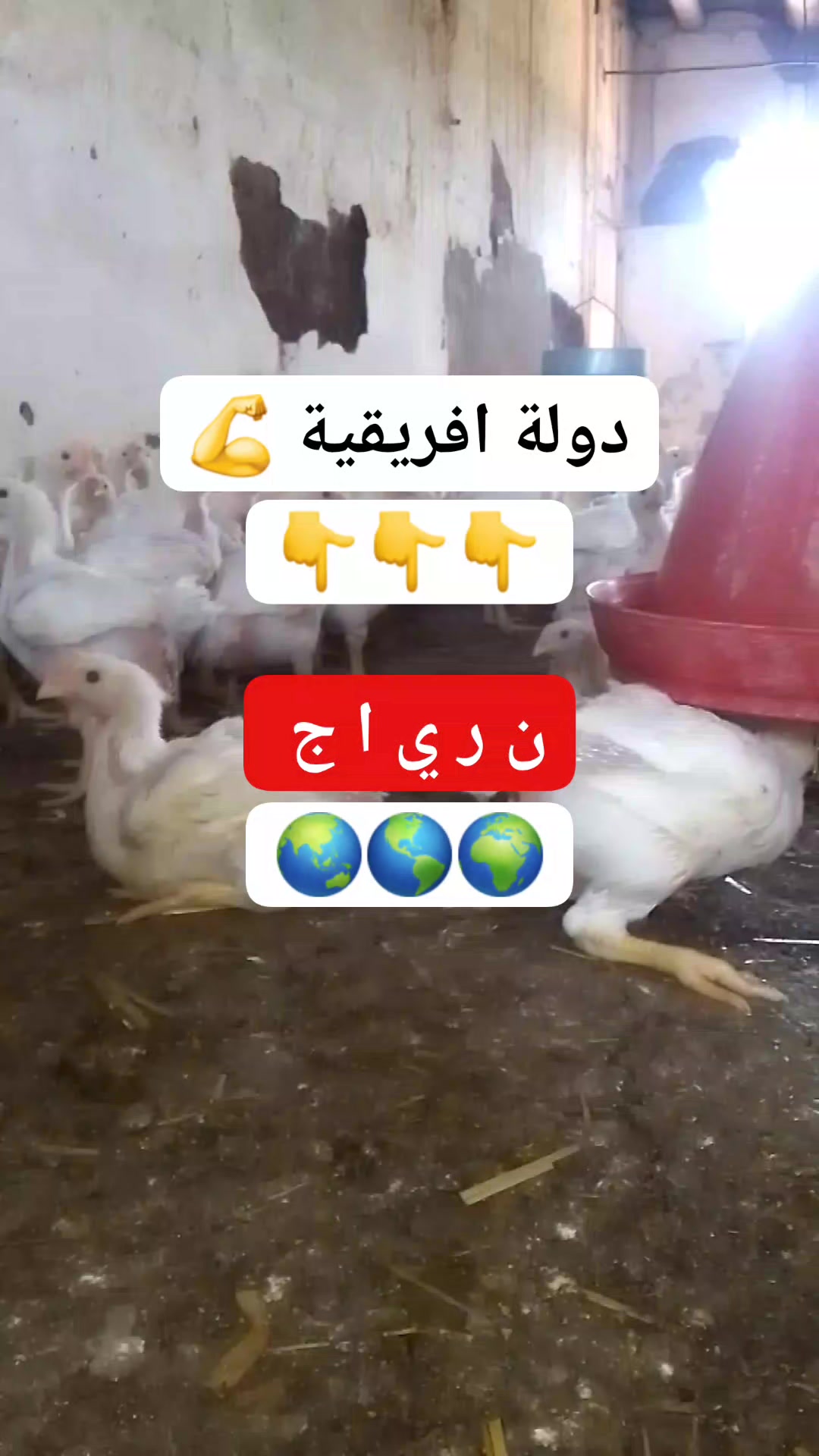 استخرج دولة افريقية من هده الحروف-للادكياء فقط -فكر 🌹👇👌 #لغز #الالغاز # ...