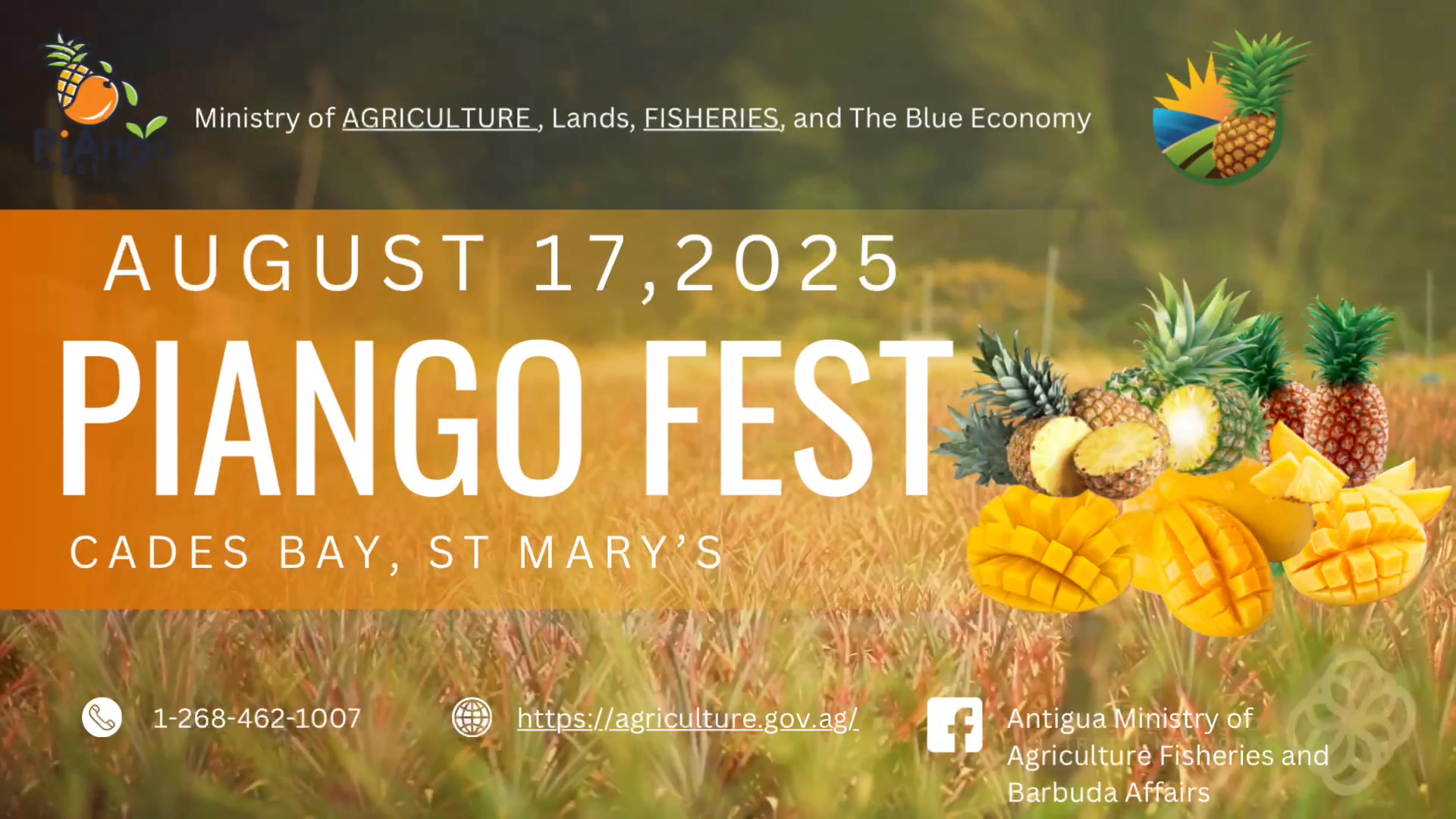 🥭🍍 WARNING: Attending PiAngo Fest may cause excessive smiling, juicy ...