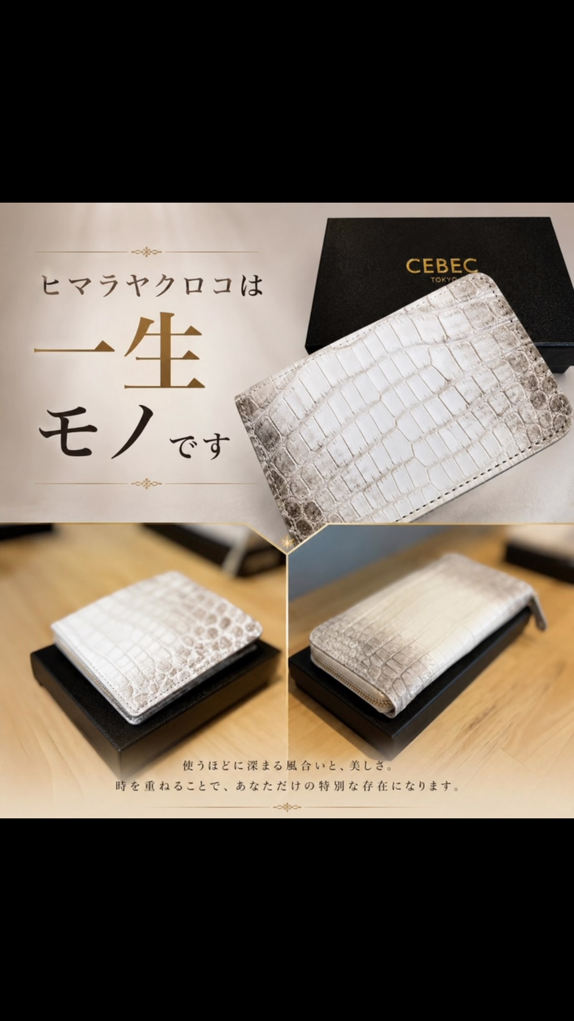 CEBEC TOKYO | Edogawa-ku Tokyo