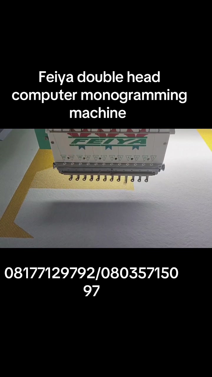 The Feiya CTF1202W double head computer embroidery machine. Here's a ...