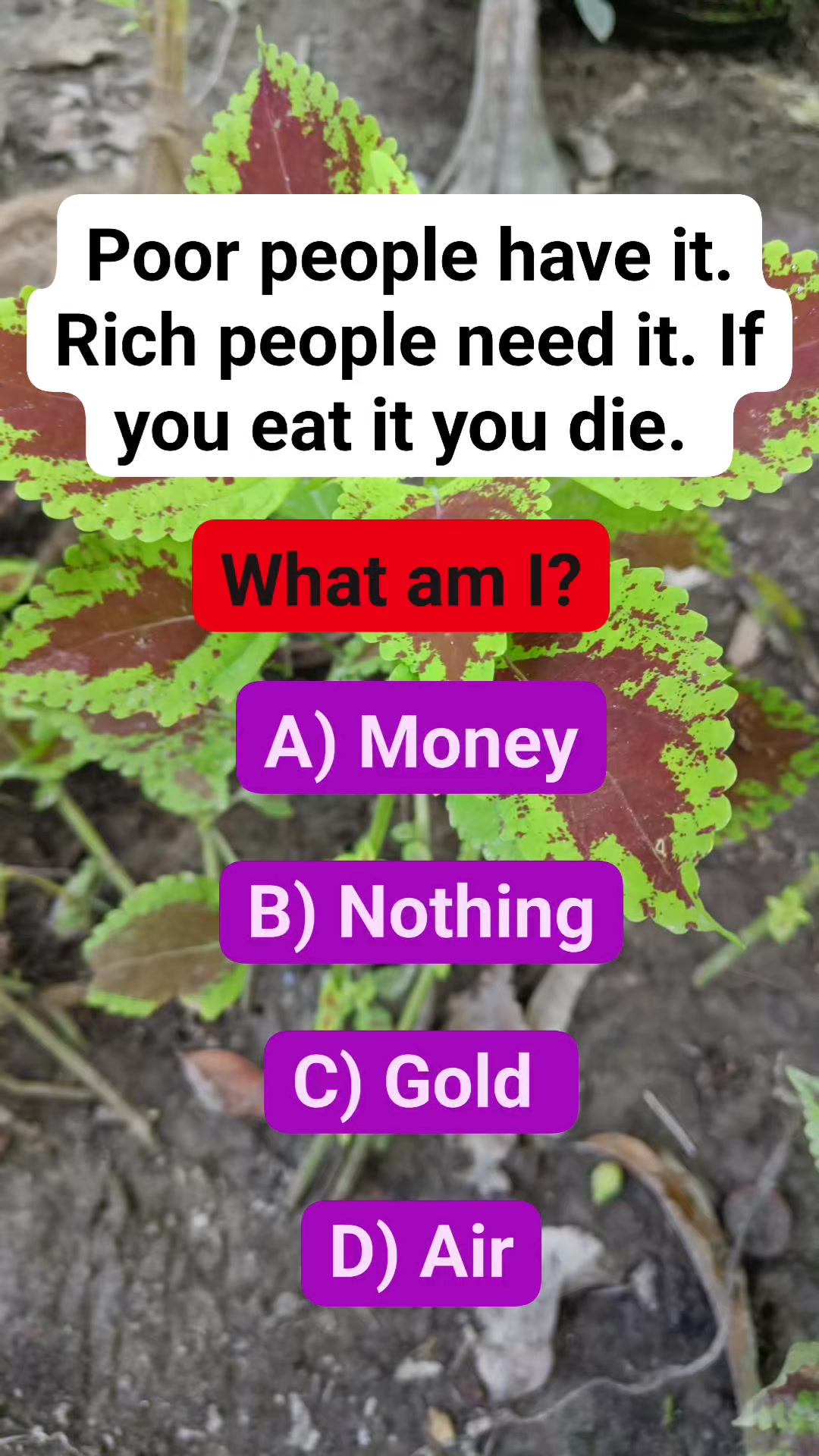 #riddle #brainteaser | Must Watch Reels | Facebook