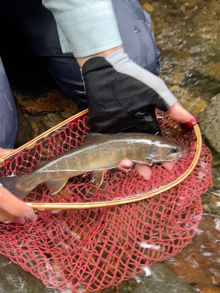 FlyFisher (@FlyFisherMagazine) • Facebook