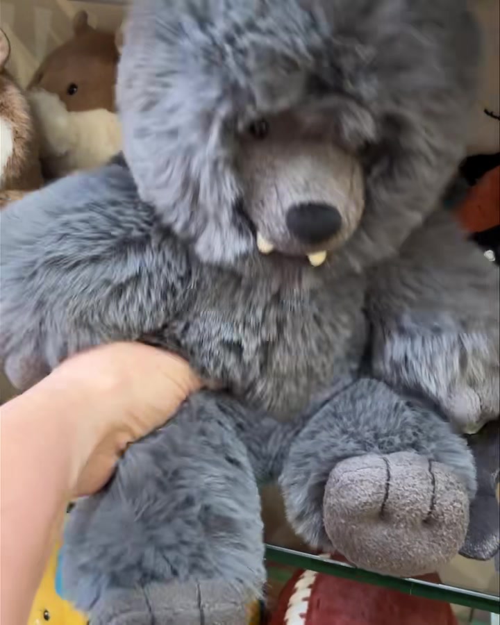 Did you know we stock Wilf Wolf? And Bo Bigfoot is coming back for