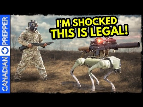 TERRIFYING Technology! Most Incredible Thing Ive Seen. Unitree Go2 ...