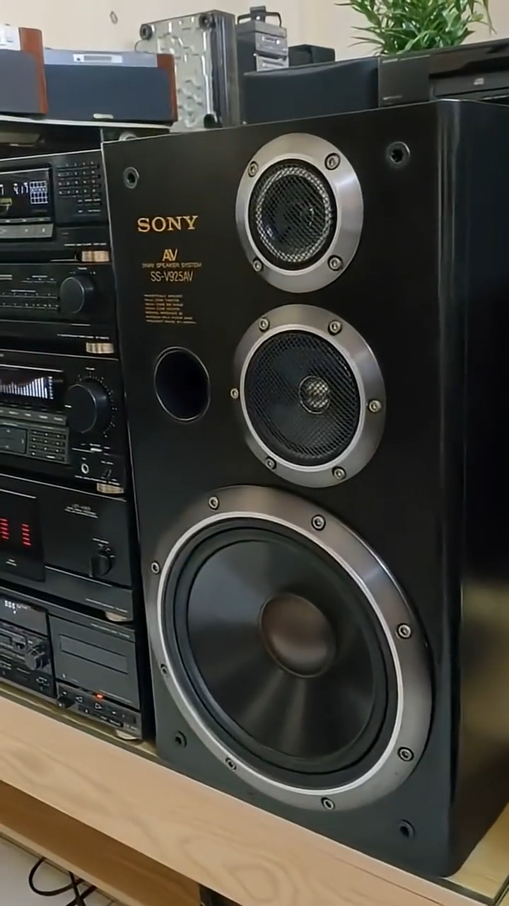 Sony SS-V725AV 3-Way Speaker System speakers - Japan ..👍