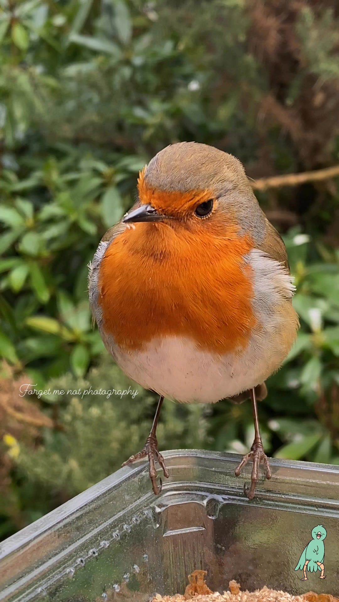 Aww little mister Peep the chubby little sausage showing us his moves ...