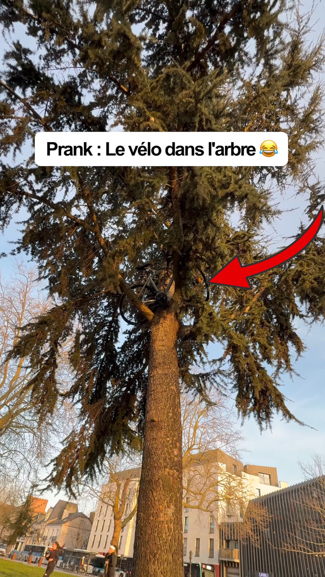 EUROMILLONS : Faux Chèque XXL de Millionnaire Personnalisable 80x40 cm- Faux Gains en Millions € - Prank, Blague de Noël - Anniversaire - Faux Ticket Gagnant Géant