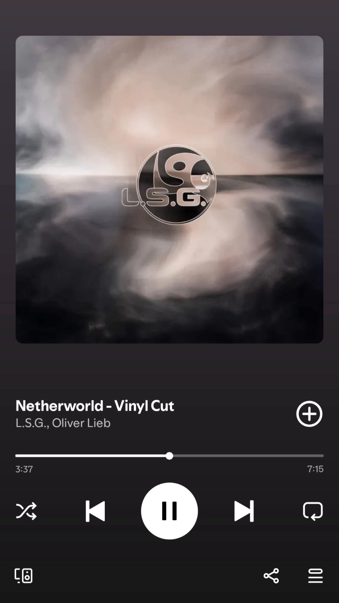 Literally, the greatest record ever made! L.S.G. - Netherworld by