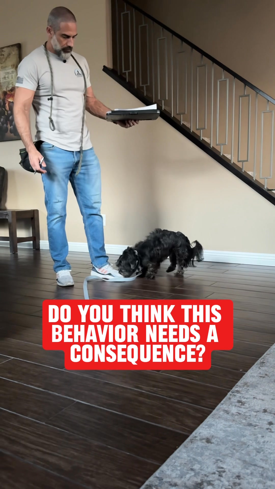 Do you think a nervous, insecure dog should or should not receive a ...