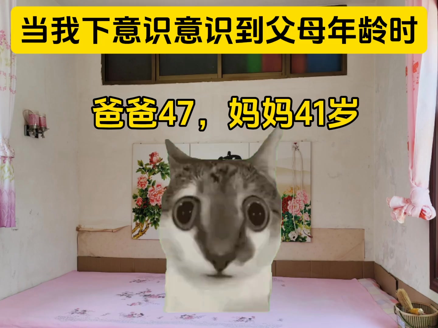 当我下意识意识到父母年龄时 #猫meme小剧场 #搞笑 #猫meme | 体育生cheems | Facebook