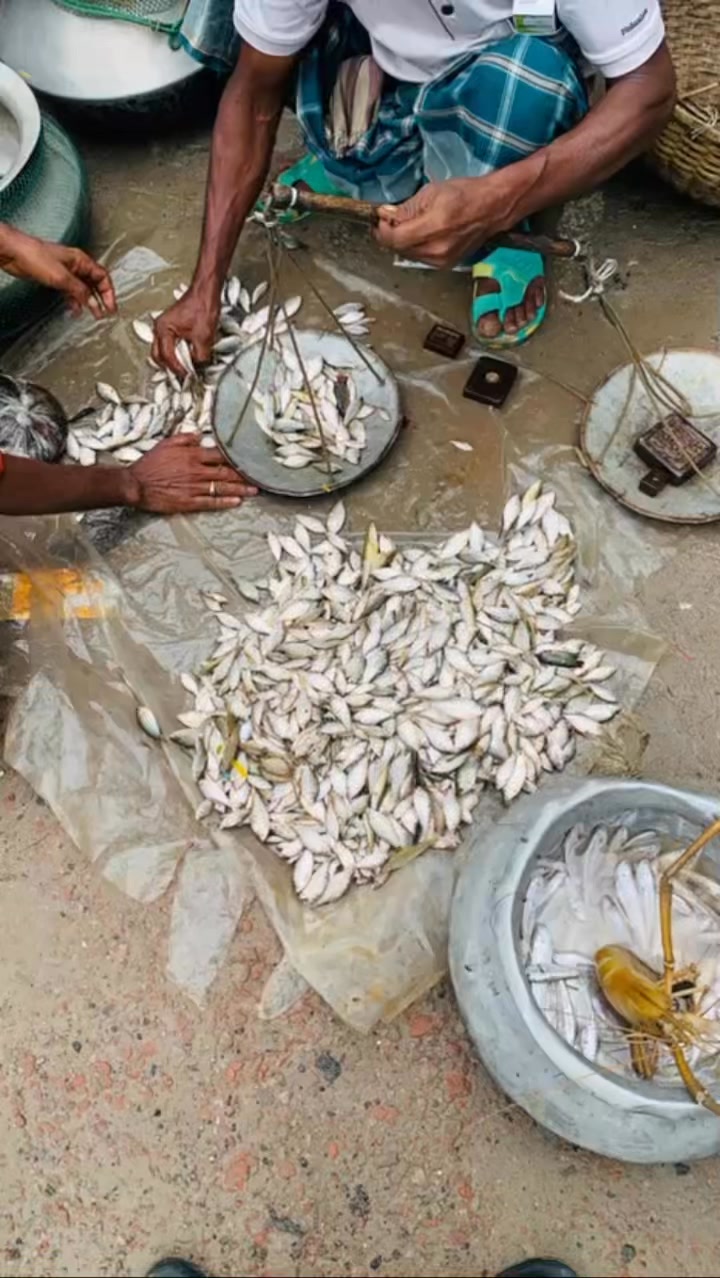 Md.Forid Ali | Rajshahi