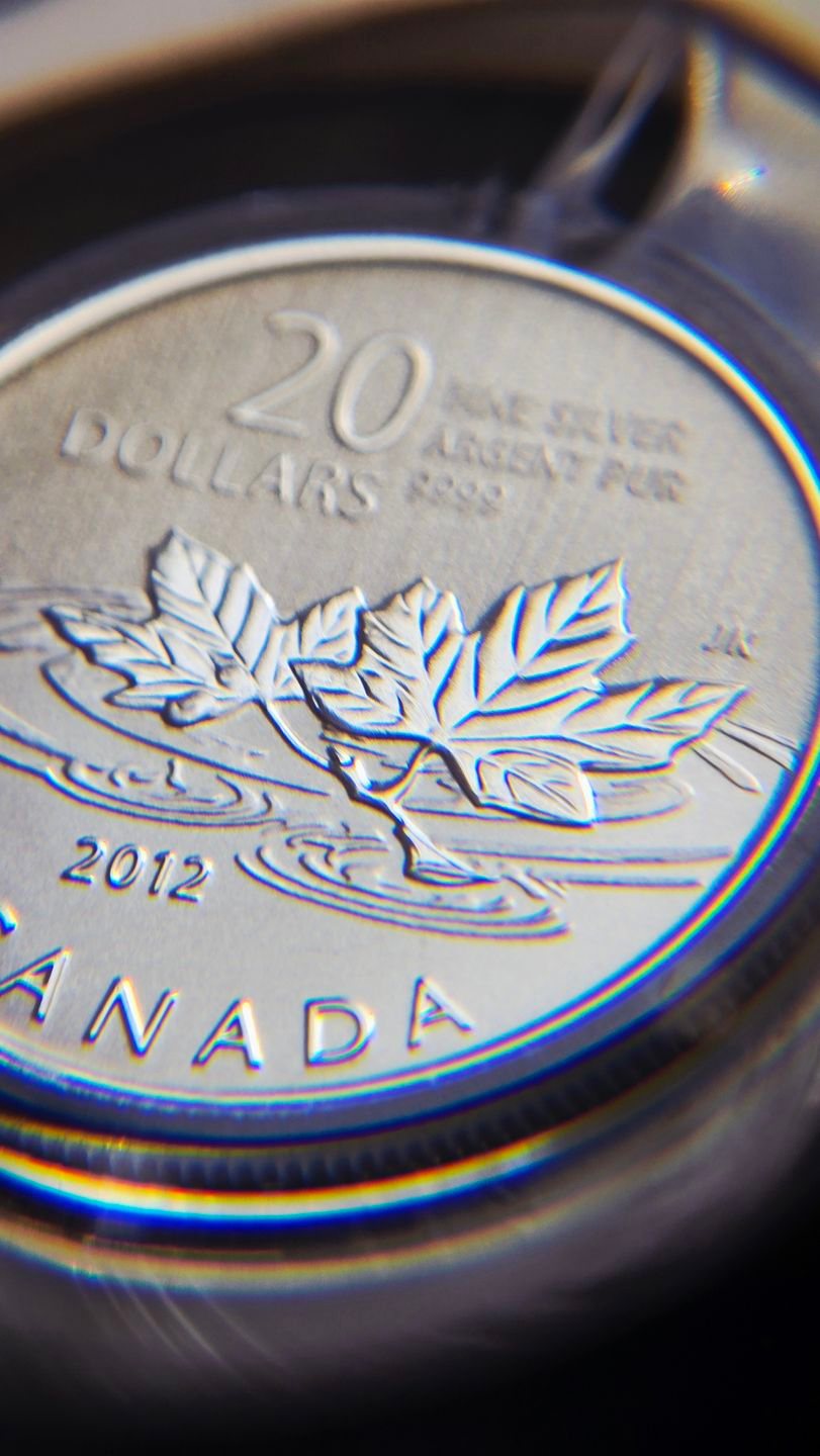 2012年 カナダ 20ドル 銀貨 記念硬貨 This is a 2012 Canada $20 for $20 Fine Silver Coin (
