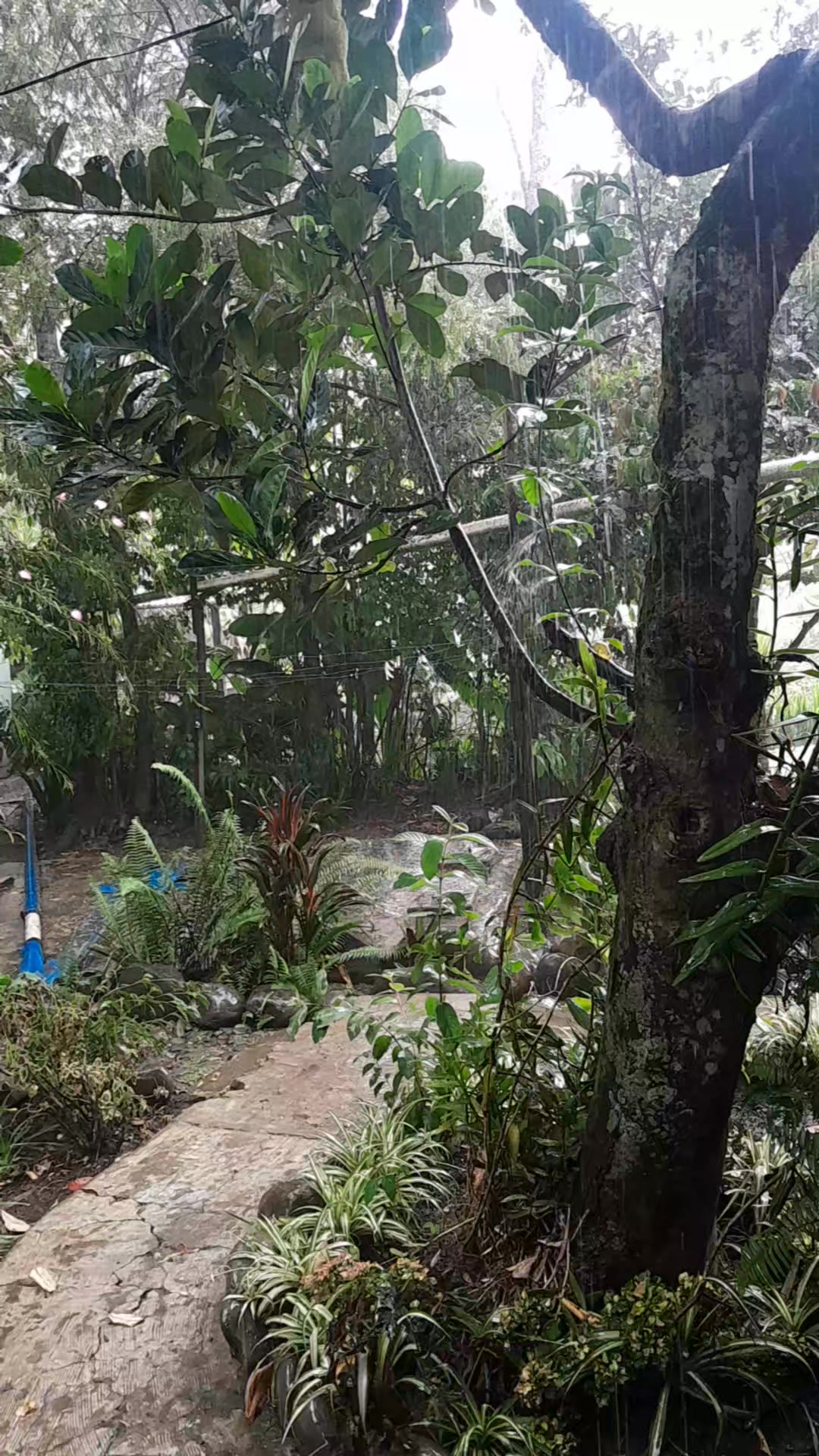 Simbu Riverside Resort | Kundiawa