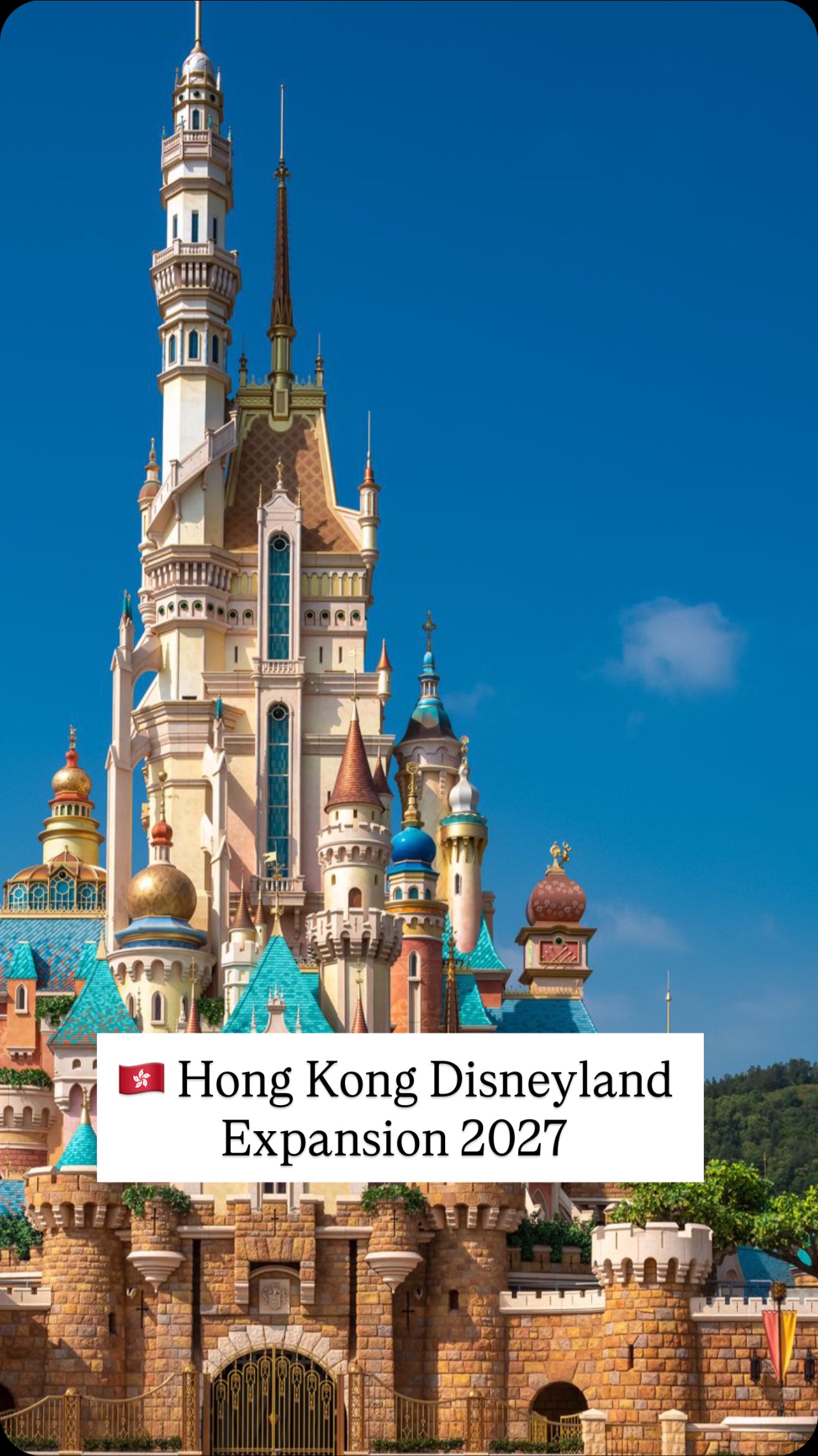 We visited Hong Kong Disneyland and were told it's the smallest