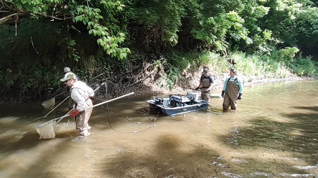 This time of year, our Resource Assessment and Monitoring (RAM) crews ...