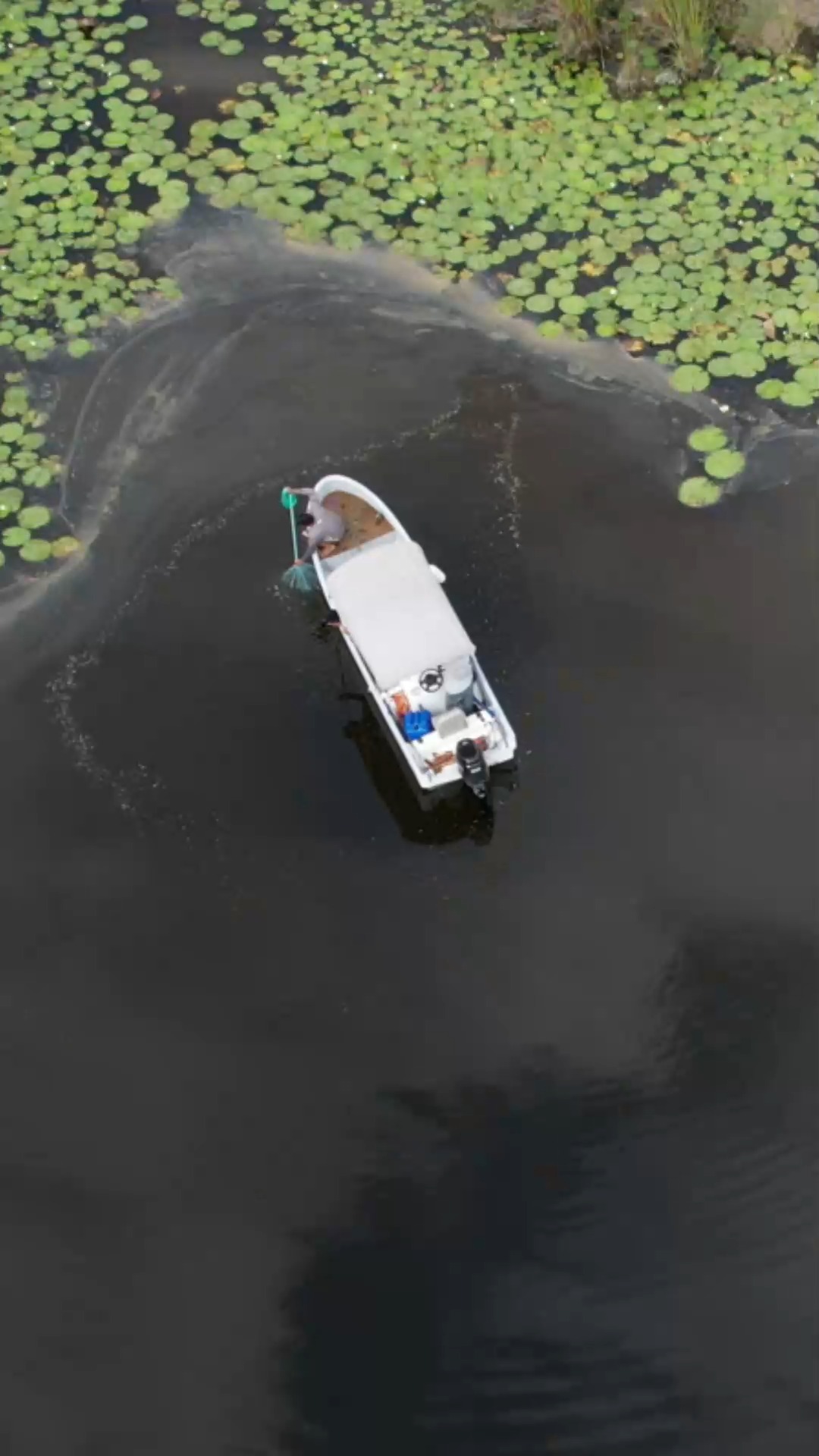 la mejor tecnica para atrapar muchisimos peces con atarraya | Pesca y ...