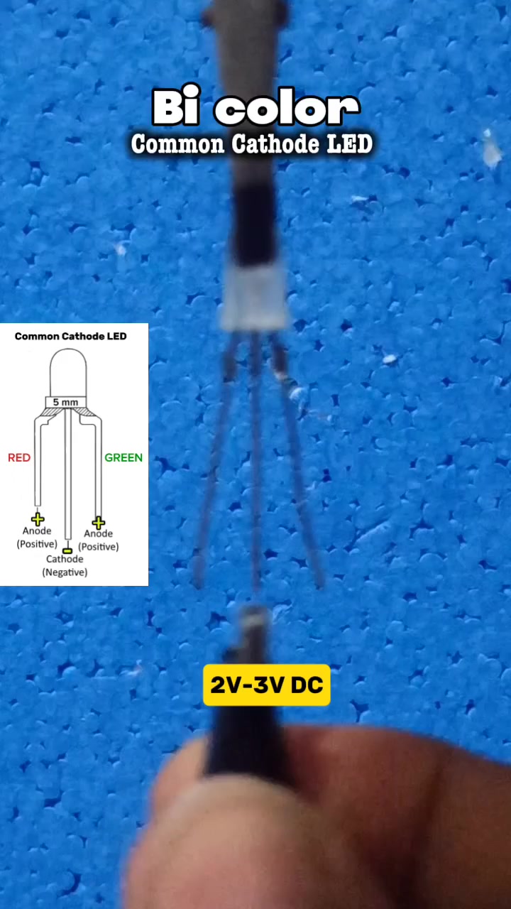 Bi-color Common Cathode LED! #Reels #viral #creative #diyproject # ...