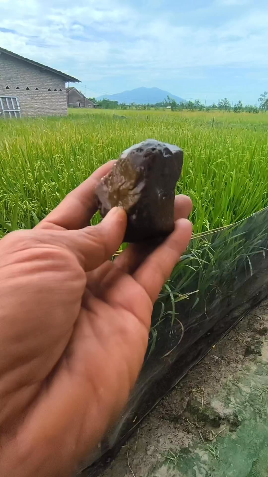 Temuan sungai 🤔 #belahbatu #gemstone | Dedi Permanto | Facebook