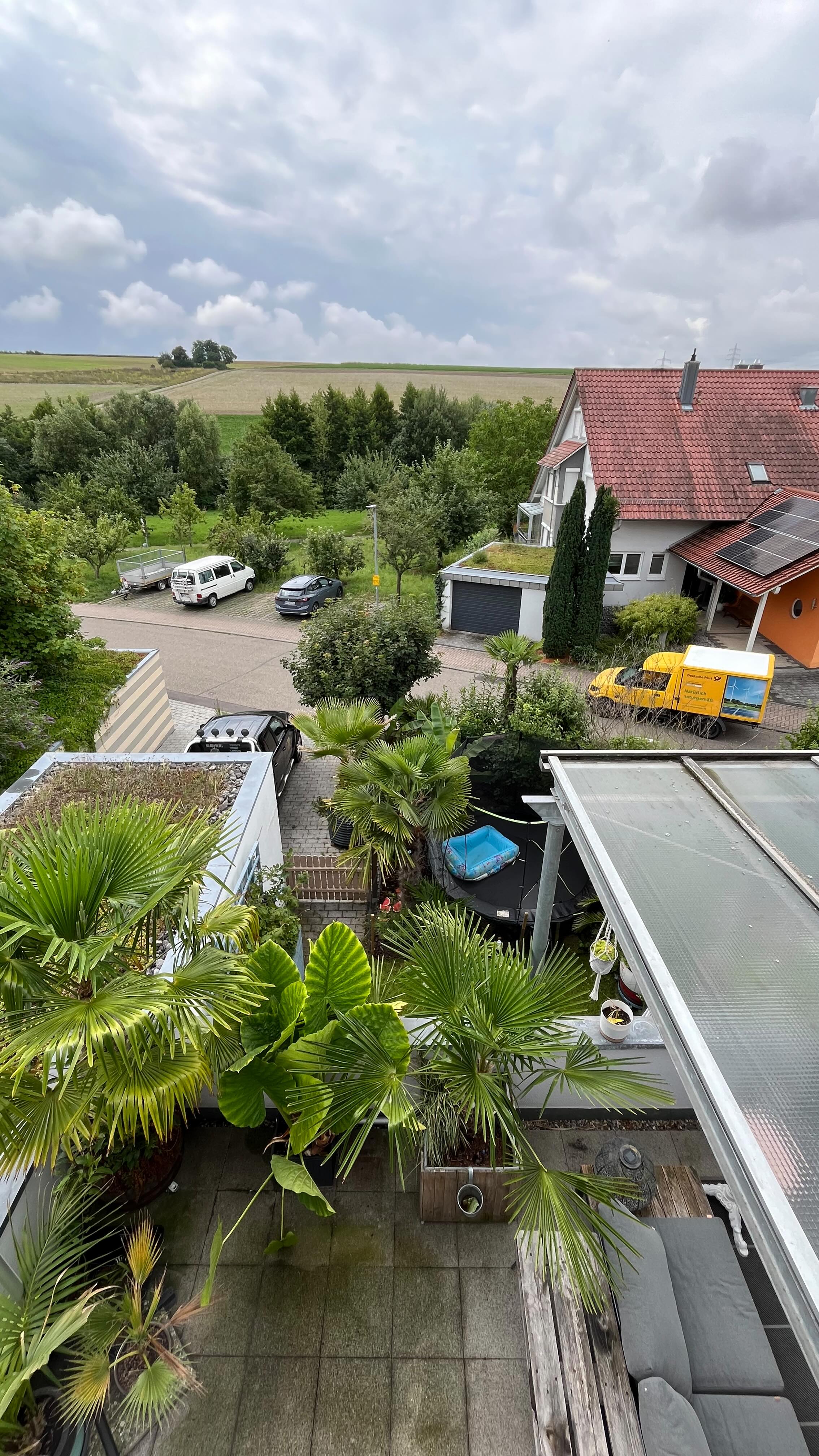 My little paradise 😍🦋🌴😎 | Palmen Riedel