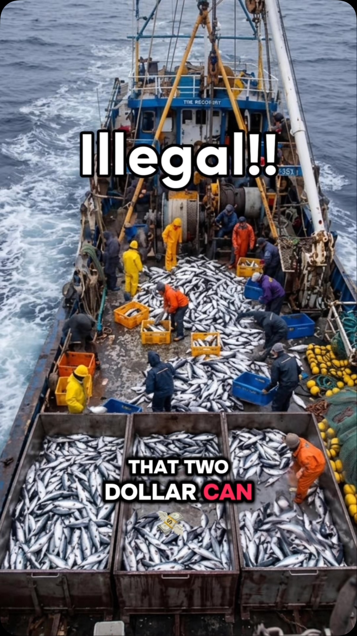 🎣 Today is the International Day for the Fight Against IUU