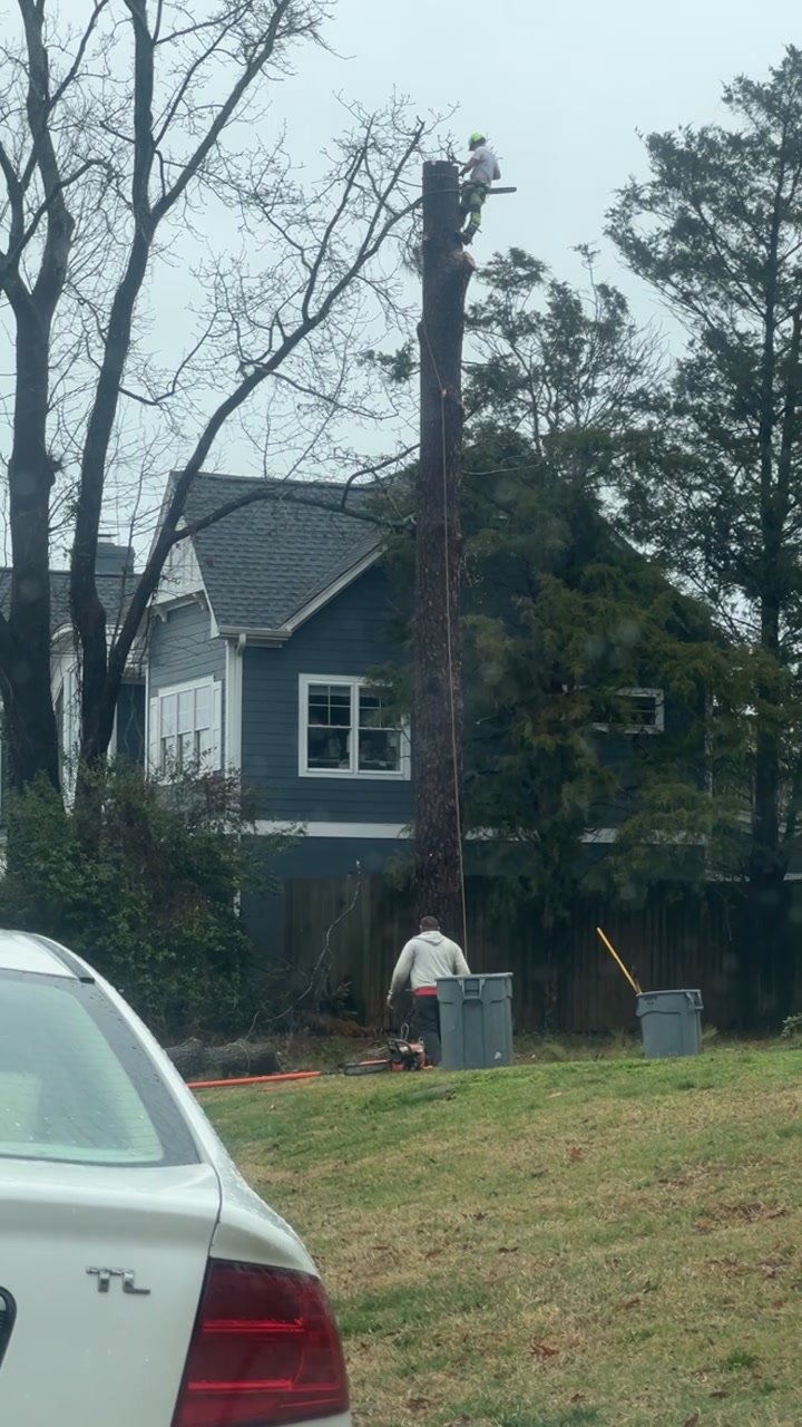 Integrity Tree Specialist | Chesapeake VA