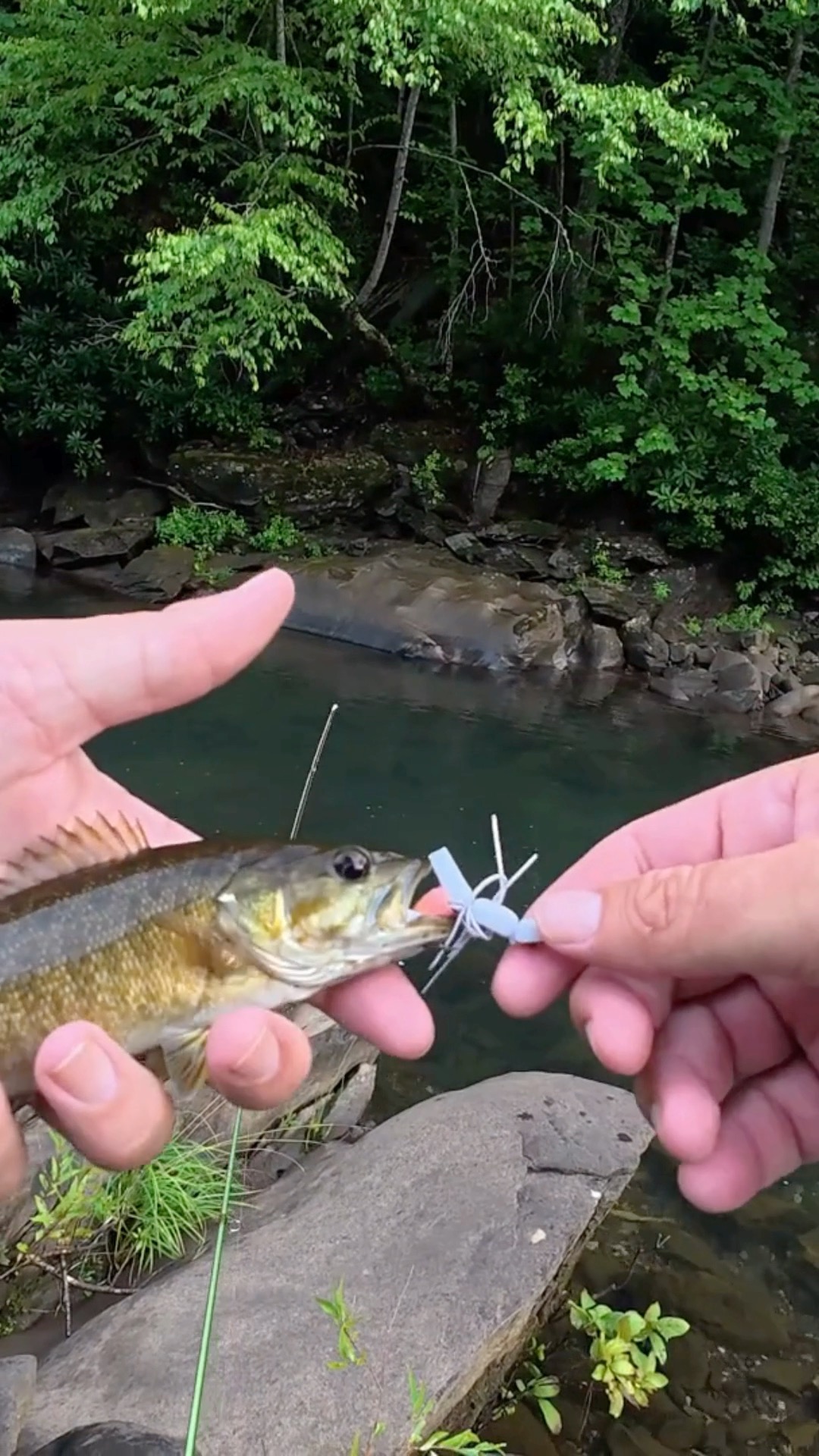clear water creek fishing lures 4" - Top Bait - Free Inline Single Hooks - Free Shipping and rattling sound thats necessary for getting the attention of fish deep below the waters surface Clear Choice Ghost Tuna Propper