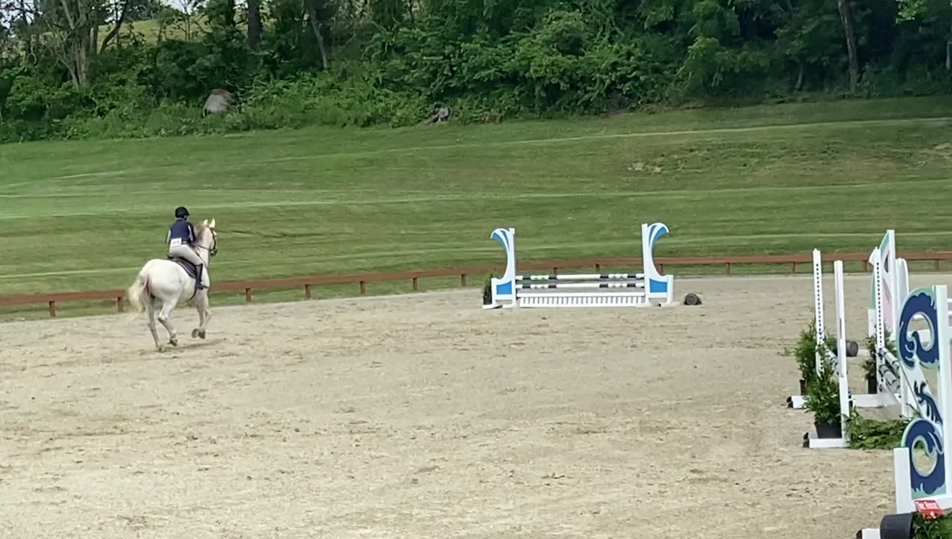 Hampton Equestrian Center LLC. - Home