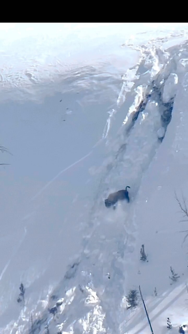 “Red Bull forgot to give him wings!”…or, “Hope he turned on his GoPro ...