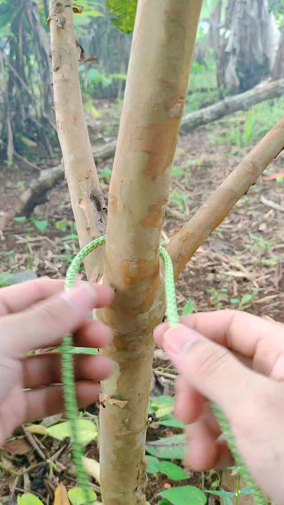 Try to practice this knot, it is very useful #campinglife #tying # ...