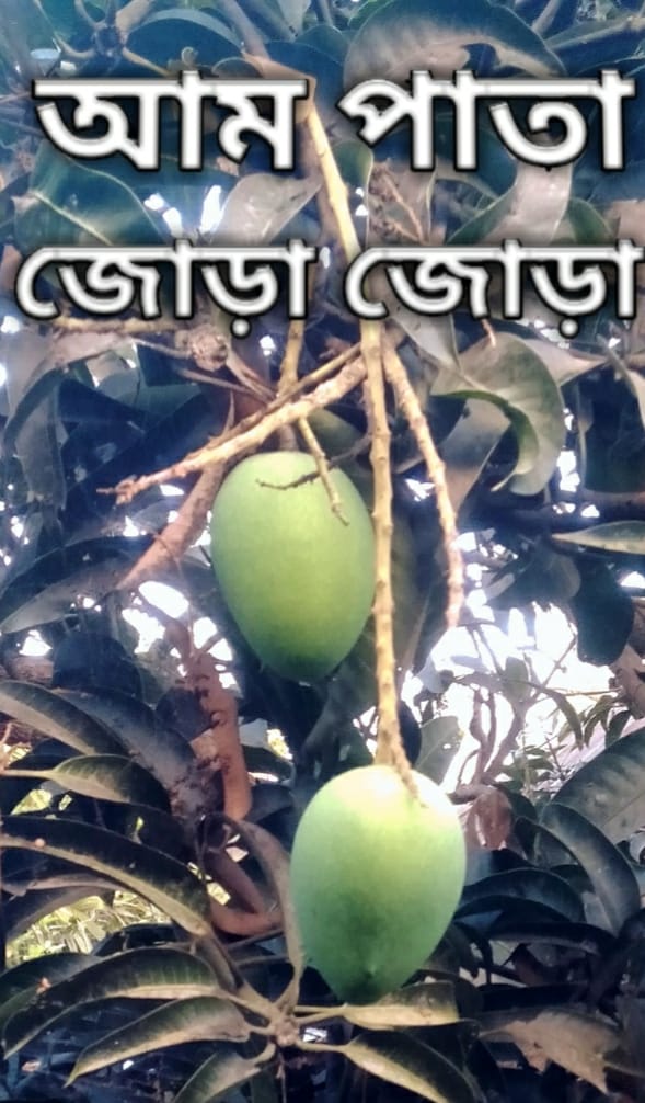 Ripa Rani