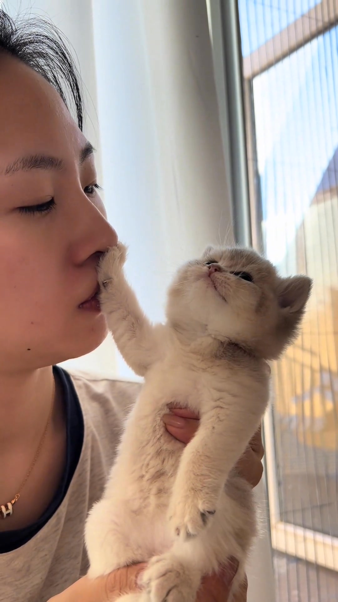 にゃんず様♥️ 00211aomao I'll give you a mask of pain one's ambition #catlove