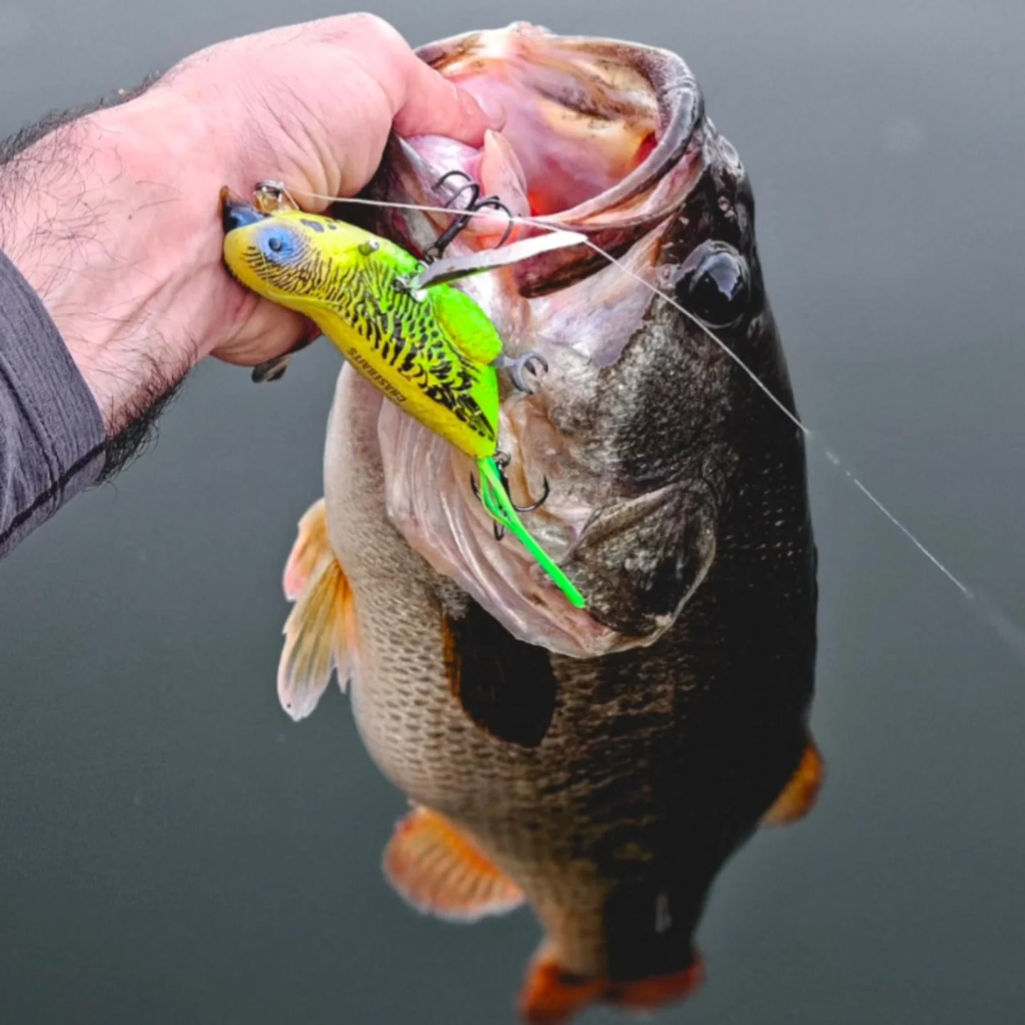 backpacks by coach Coach: tag:tarpon It fits a 38cm Rod Length:7'0'' -H Spinning Rods Beach Casting