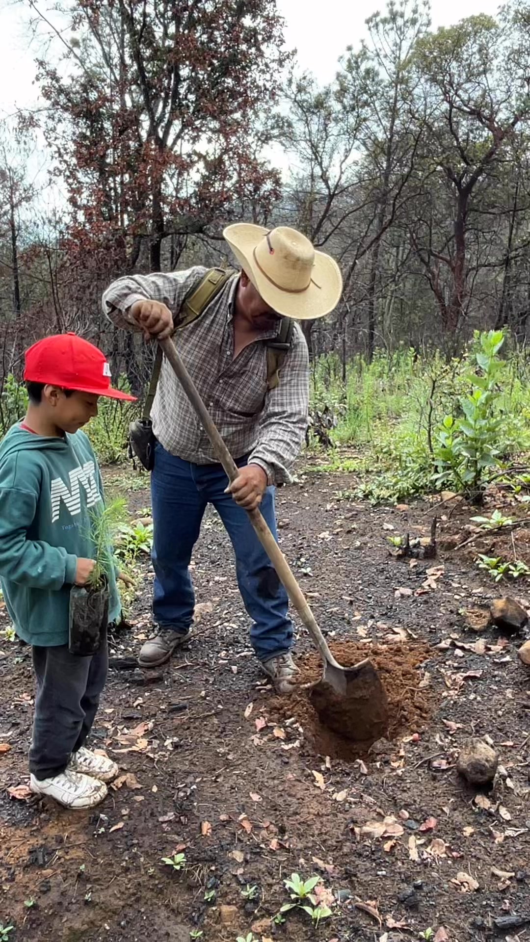 Sembremos la semilla de amar a los árboles a los niños. Con mi sobrino ...