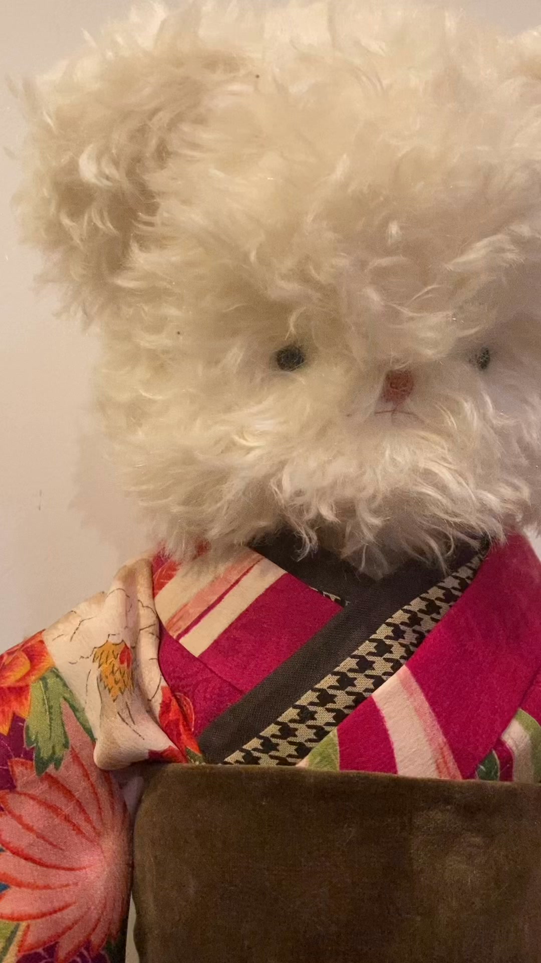 テディベア作家　heidi はいじ 様　はいじくま　ぱぴー　中古美品 はいじくま (@heidikuma1998) • Facebook