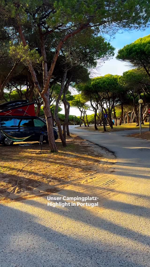 thule camping markise Sun Blocker G2 Vorderwand 430 x 170cm Front Sichtschutz Windschutz Wohnwagen Auto & Motorrad Sparta Ebike Sparta Velo Fission Mailed Color:Natural light wood spreader bar