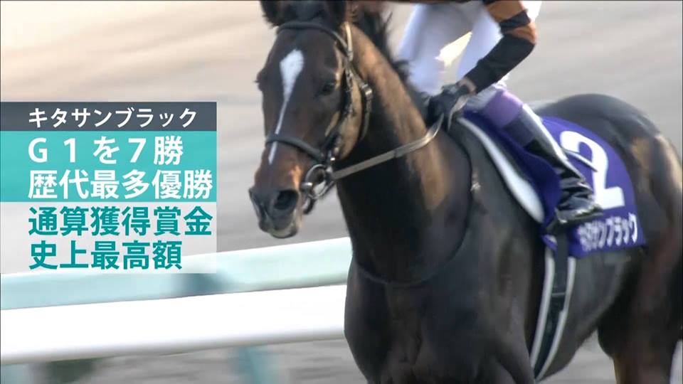 今年の有馬記念を勝利し、引退を迎えるキタサンブラック。どんな馬