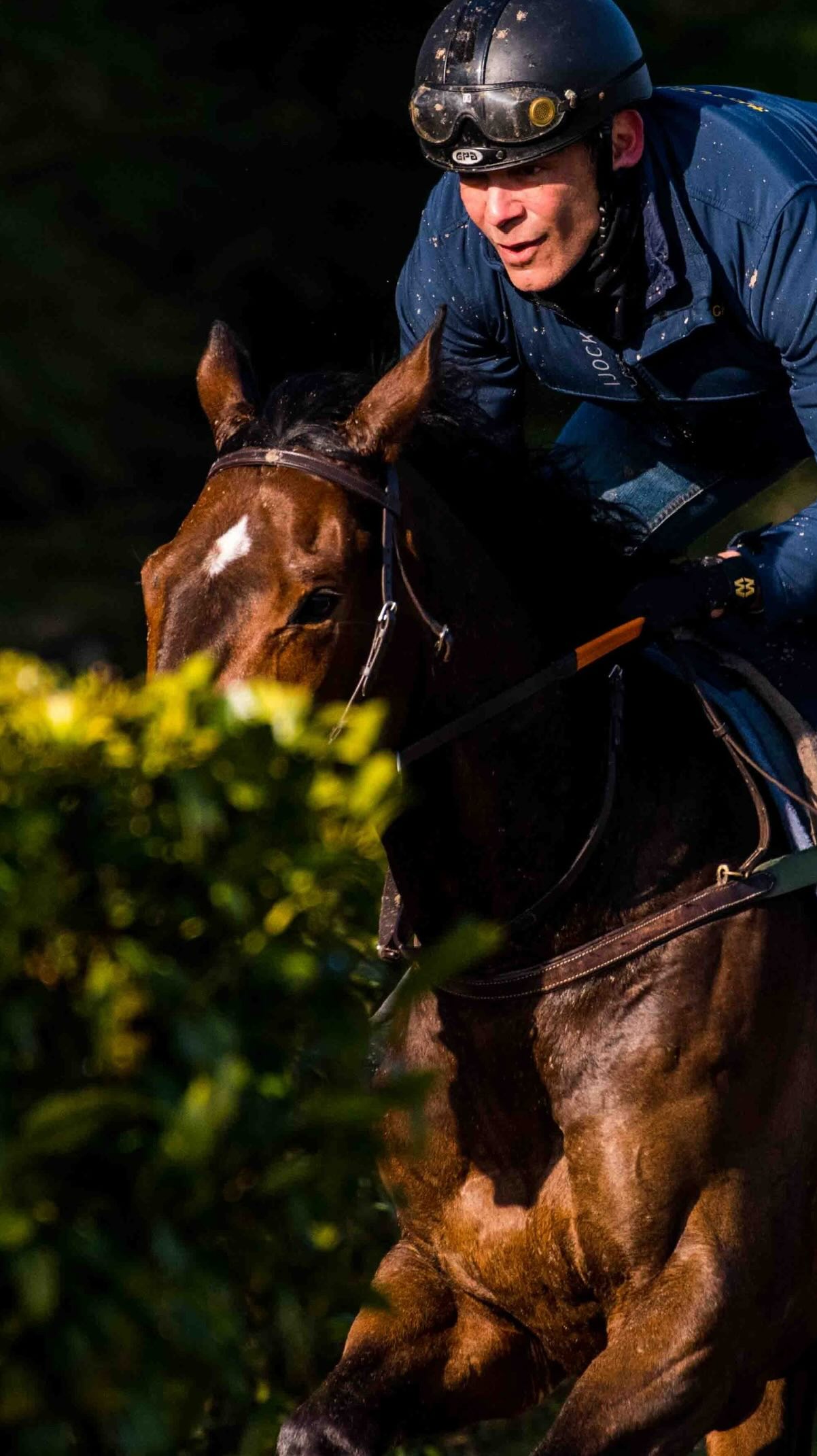 Alors que l’année se termine, merci à tous les chevaux, écuries ...